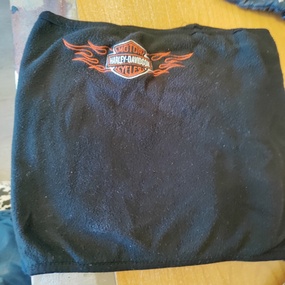 Harley Davidson buffs